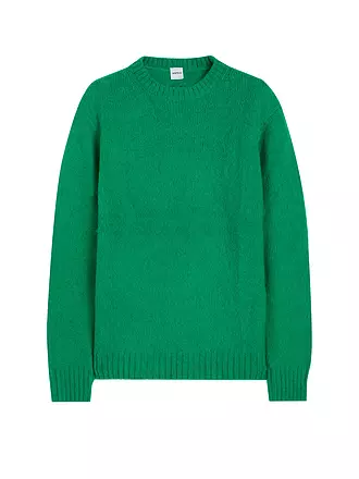 ASPESI | Pullover | grün