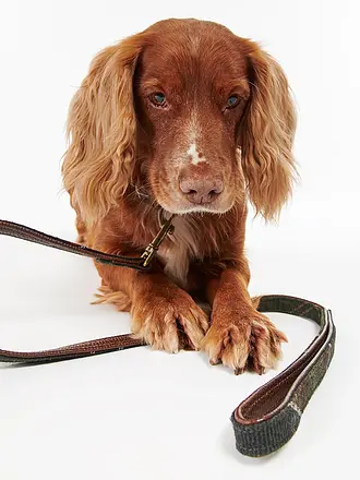 BARBOUR | Hundeleine | 