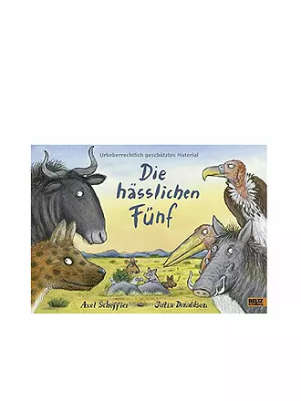 BELTZ & GELBERG VERLAG | Buch - Die hässlichen Fünf | keine Farbe