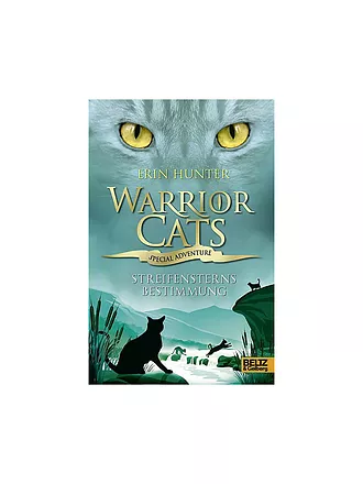 BELTZ & GELBERG VERLAG | Buch - Warrior Cats - Special Adventure - Streifensterns Bestimmung | keine Farbe