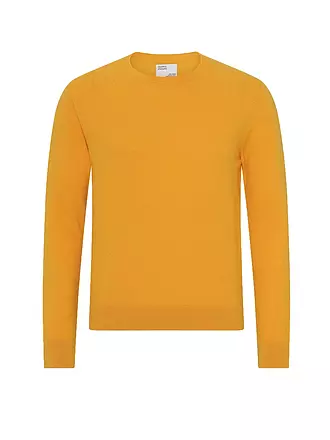 COLORFUL STANDARD | Pullover | gelb