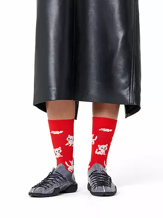 HAPPY SOCKS | Herren Socken KITTEN 41-46 red | rot