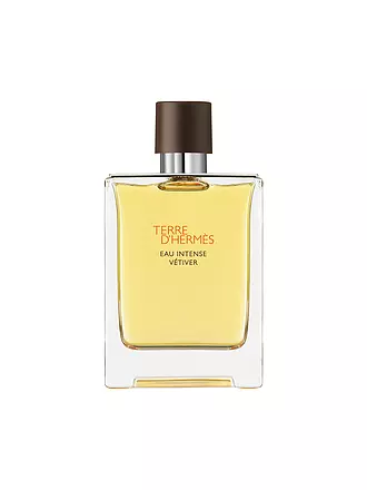 HERMÈS | Terre d’Hermès Eau Intense Vétiver Eau de Parfum 100ml | keine Farbe