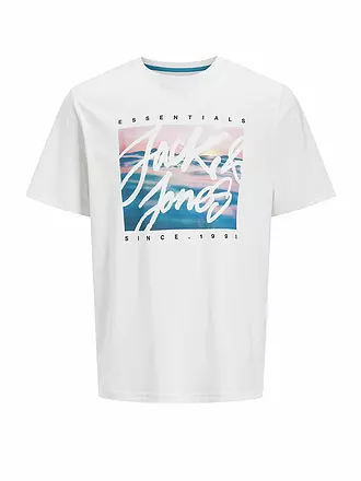 JACK & JONES | T-Shirt JJCOLTON | hellgrün