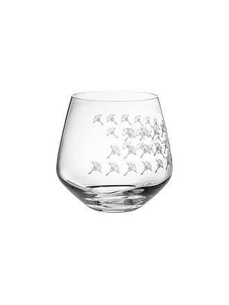JOOP | Wasserglas 2er Set 0,39l Faded Cornflower | transparent