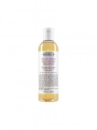 KIEHL'S | Rice & Wheat Volumizing Shampoo 500ml | keine Farbe
