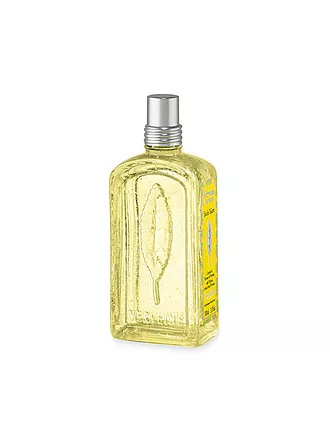 L'OCCITANE | Citrus Verveine Eau de Toilette 100ml | keine Farbe