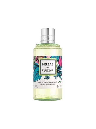 L'OCCITANE | Herbae Par L'occitane Duschgel 250ml | keine Farbe