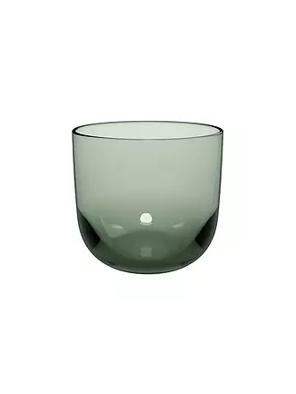 LIKE BY VILLEROY & BOCH | Wasserglas 2er Set LIKE 280ml Grape | grün