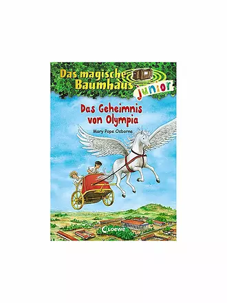 LOEWE VERLAG | Buch - Das magische Baumhaus Junior - Abenteuer bei den Wikingern (Gebundene Ausgabe) | keine Farbe