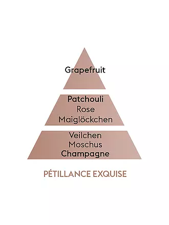 MAISON BERGER PARIS | Nachfüllung Eclat De Rhubarbe 1000ml Fruits | transparent