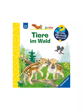 RAVENSBURGER | Buch - Wieso Weshalb Warum Junior - Tiere im Wald, Patrizia Mennen | keine Farbe