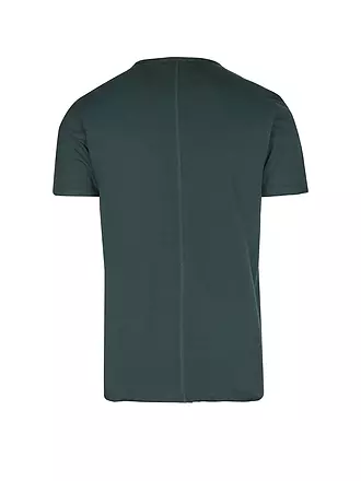 REPLAY | T-Shirt | olive