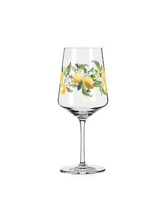 RITZENHOFF | Aperitifglas SOMMERTAU HUGO #24 Richter | bunt