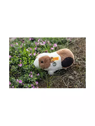 STEIFF | Dalle Meerschweinchen 22cm | beige