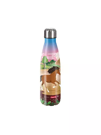 STEP BY STEP | Edelstahl Trinkflasche - Helicopter Sam 0,5L | bunt