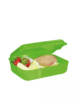 STEP BY STEP | Frischhaltedose - Lunchbox Ninja Kimo Grün | blau