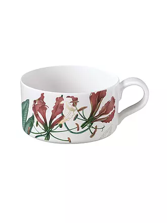 VILLEROY & BOCH SIGNATURE | Tee Obertasse 0,23l Avarua Weiss | bunt