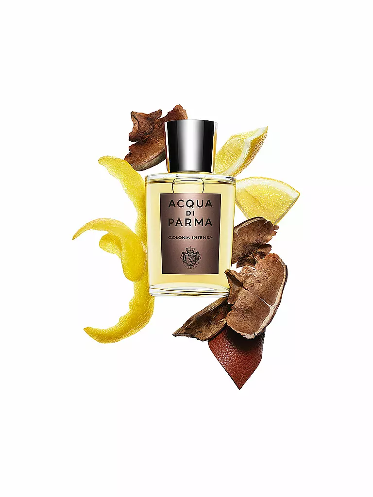 ACQUA DI PARMA | Colonia Intensa Eau de Cologne Vaporisateur 100ml | keine Farbe