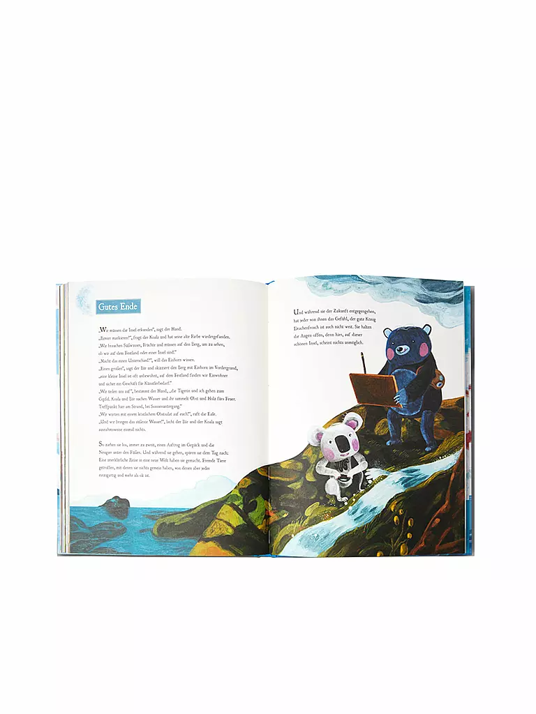 AFFENZAHN | Kinderbuch - Der Drachenfrosch | keine Farbe