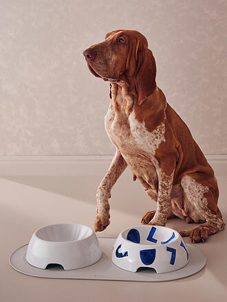 ALESSI | Futternapf für Hunde 400ml Itsumo Pet Yunoki