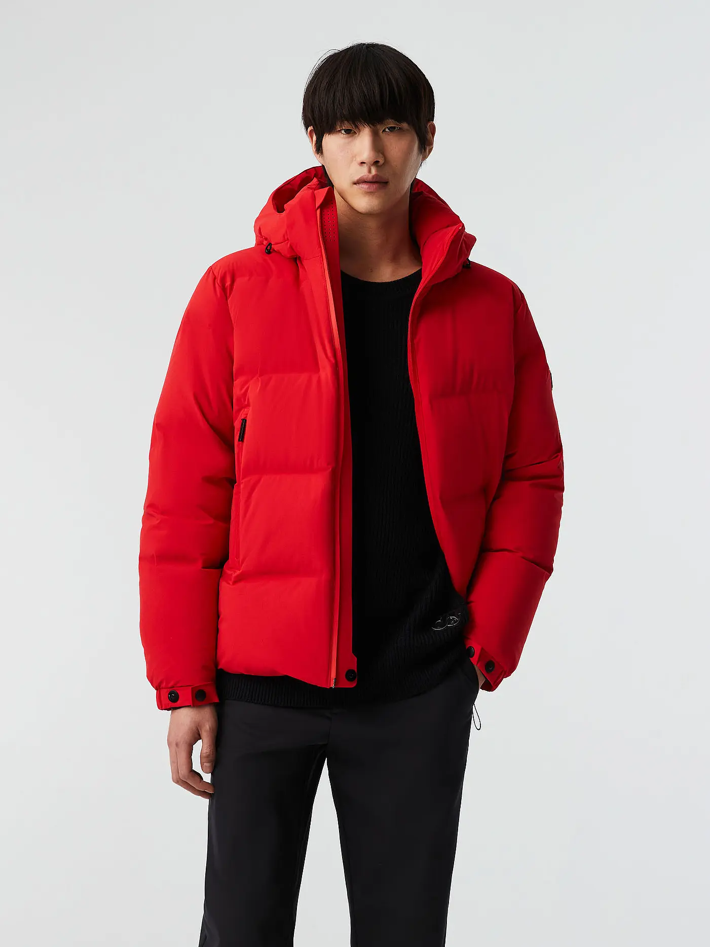 ALPHATAURI | Daunensteppjacke ODORU | rot