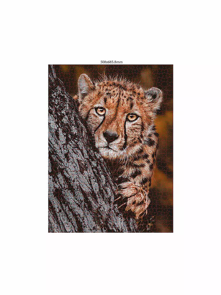 AMBASSADOR | Puzzle - Gepard 1000 Teile (Donal Boyd) | keine Farbe