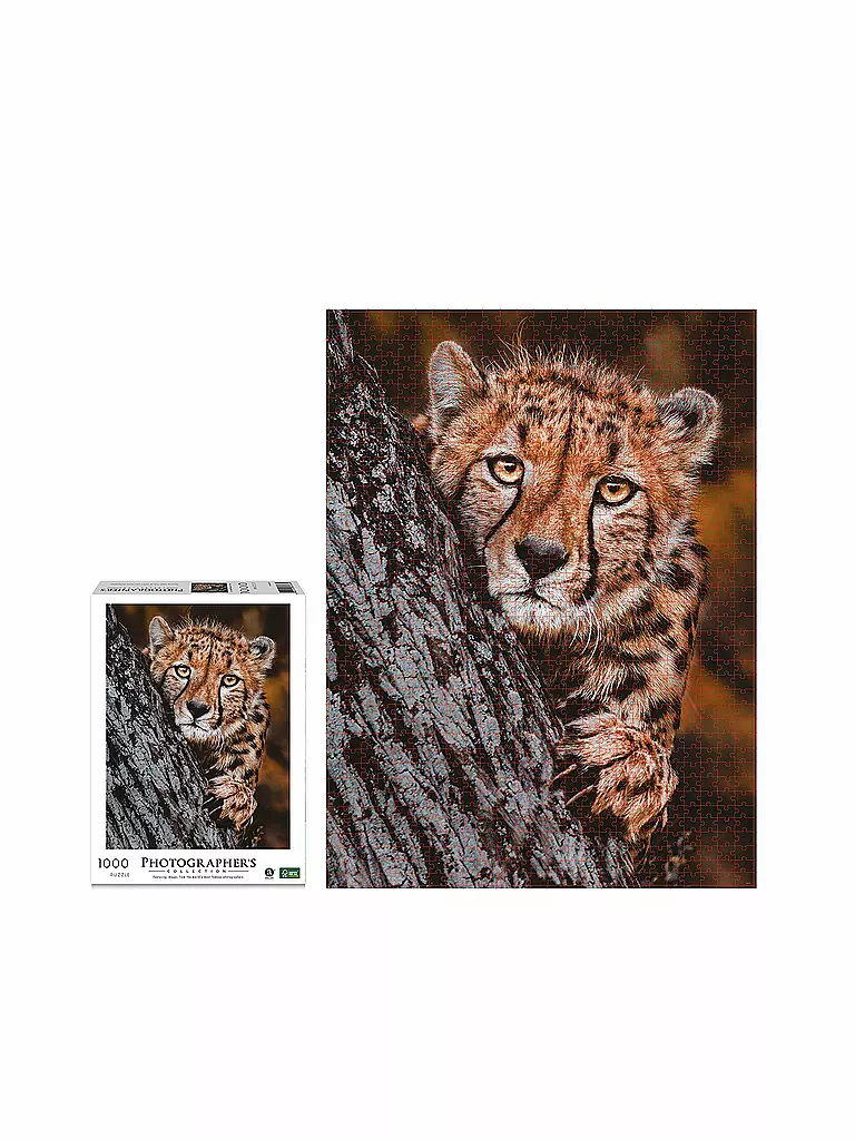 AMBASSADOR | Puzzle - Gepard 1000 Teile (Donal Boyd) | keine Farbe