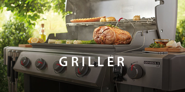 720x360_griller