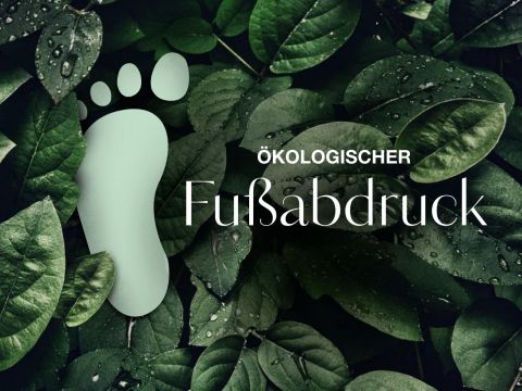 Öko-Fußabdruck-700×500