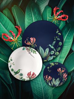 Drei Zierteller mit Kolibri- und Blumenmotiven sind auf großen grünen Blättern mit roten Blüten im Hintergrund angeordnet.
