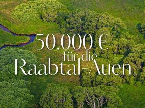 Eine Luftaufnahme einer üppig grünen Landschaft mit dichten Bäumen und einem gewundenen Fluss. Der darüber gelegte Text lautet in eleganter weißer Schrift „50.000 € für die Raabtal-Auen“.