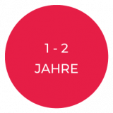 Spielzeug-1-2-1