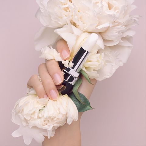 Eine Hand mit manikürten Nägeln hält einen weißen Lippenstift, umgeben von großen weißen Pfingstrosenblüten, die eine sanfte und elegante Atmosphäre schaffen. Der Hintergrund ist hellrosa und ergänzt die zarte Ästhetik.