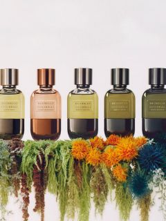 Fünf Parfümflakons von Brunello Cucinelli in verschiedenen Farbtönen stehen in einer Reihe auf einem Bett aus buntem Moos und Blumen, darüber steht auf weißem Hintergrund "Brunello Cucinelli".