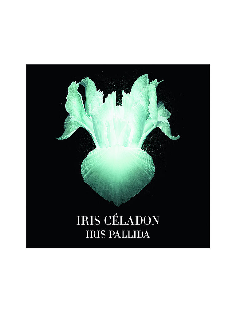 ARMANI/PRIVÉ | Iris Celadon Eau de Parfum 100ml | keine Farbe