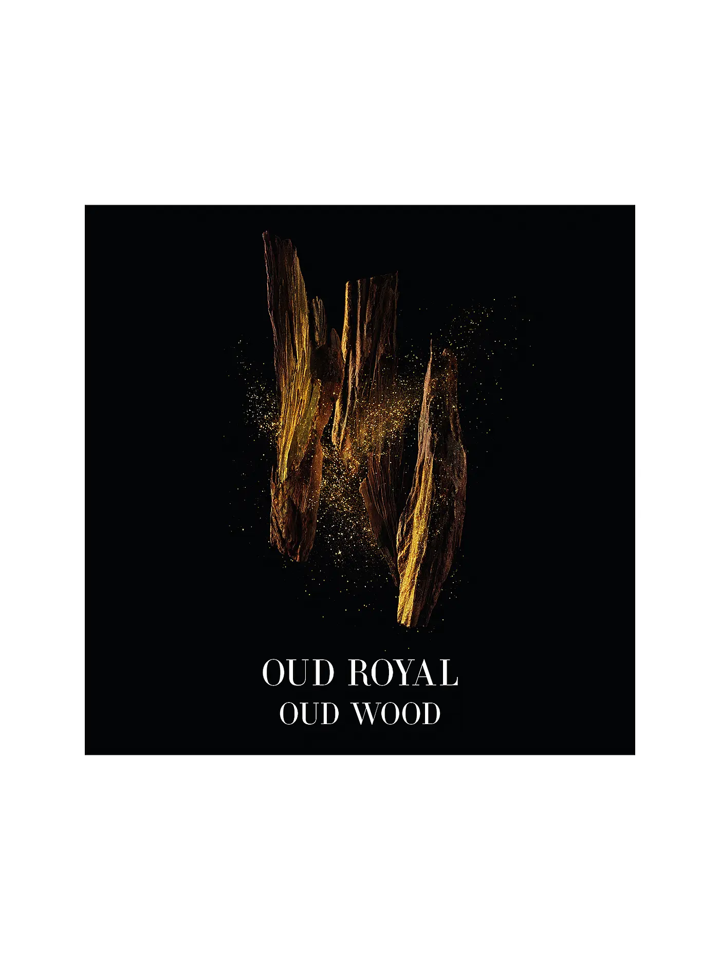 ARMANI/PRIVÉ | Oud Royal Eau de Parfum 100ml | keine Farbe