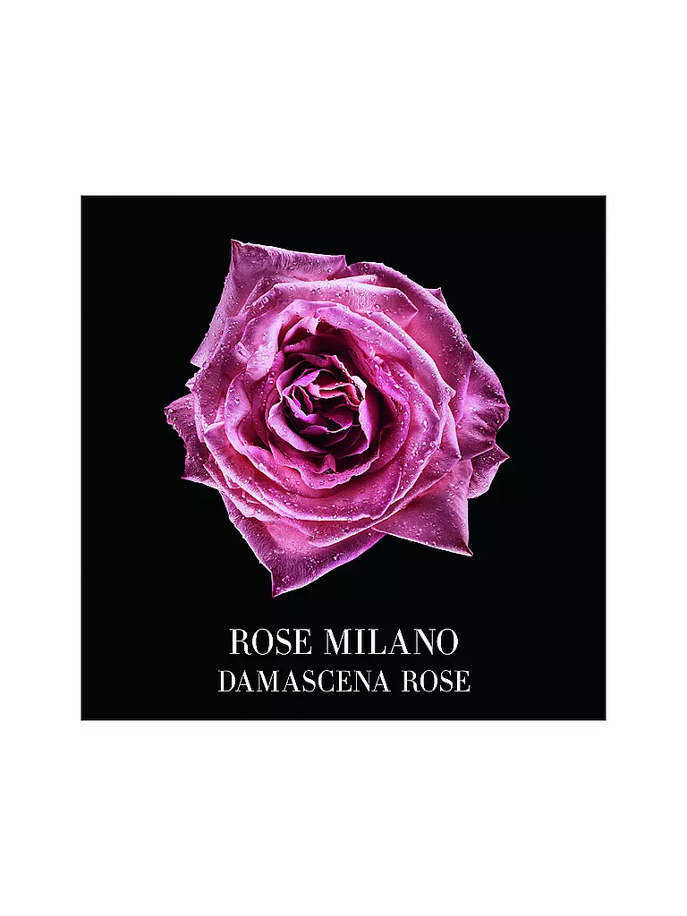 ARMANI/PRIVÉ | Rose Milano Eau de Toilette 100ml | keine Farbe