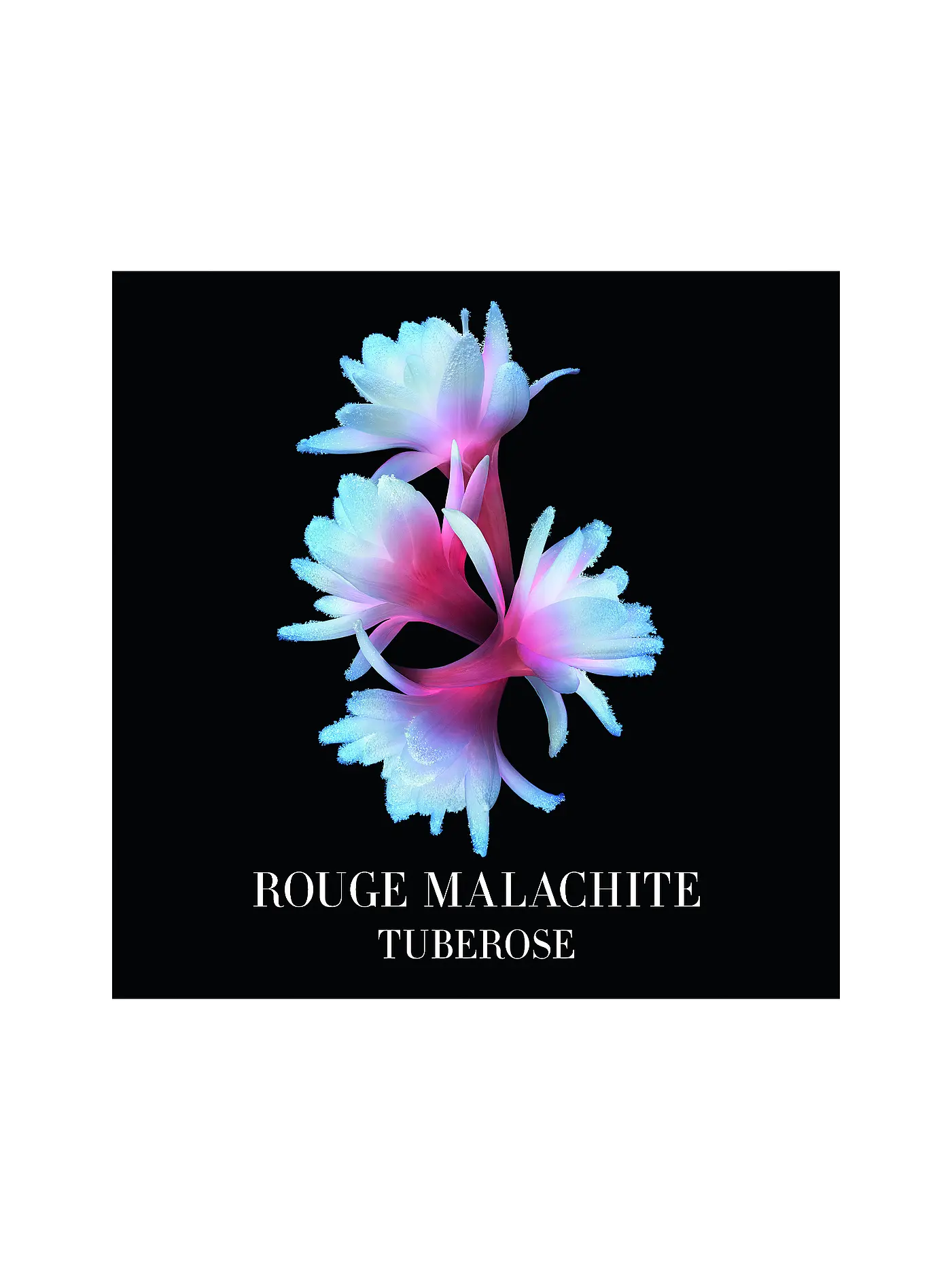 ARMANI/PRIVÉ | Rouge Malachite Eau de Parfum 50ml | keine Farbe