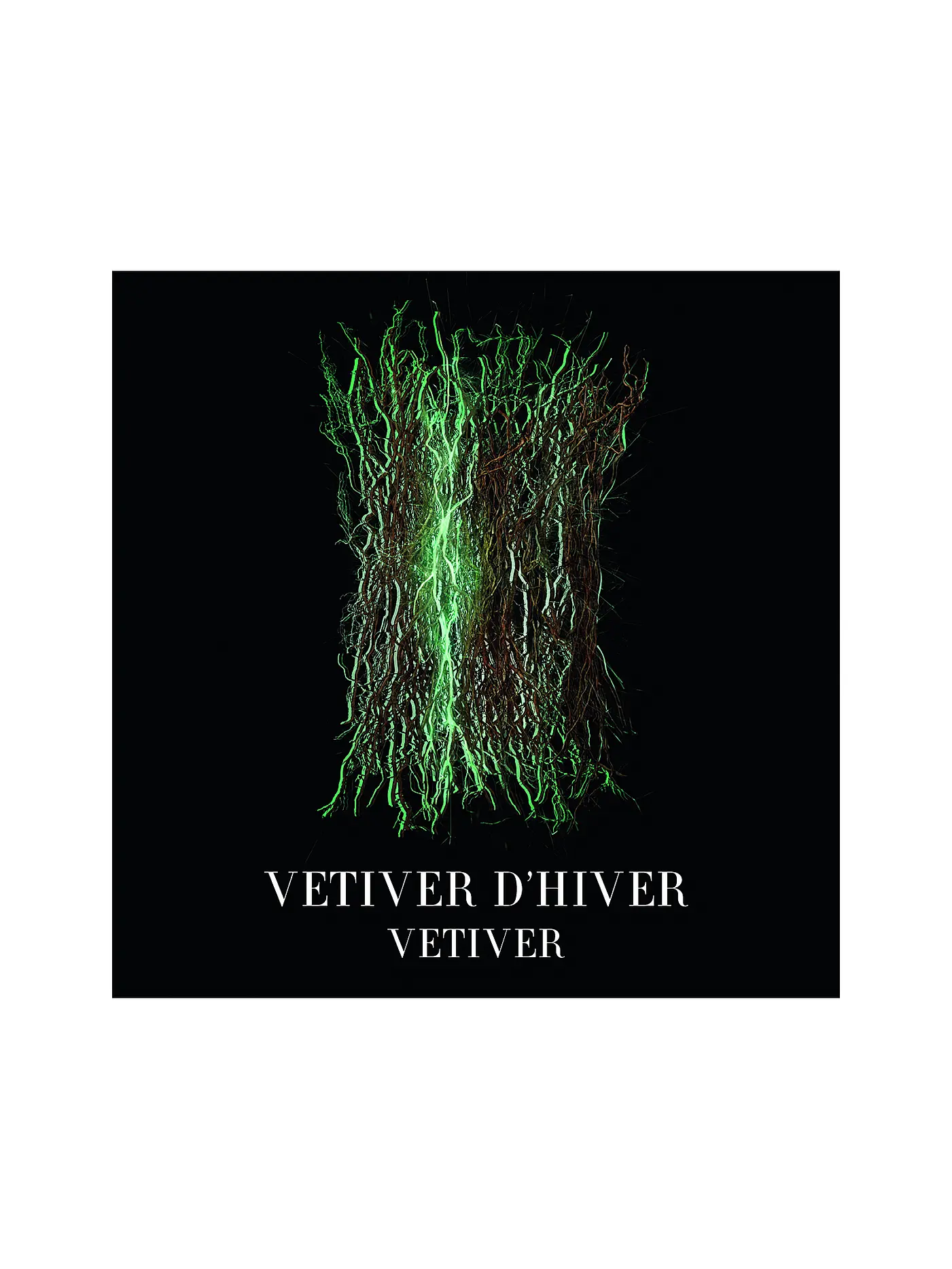 ARMANI/PRIVÉ | Vétiver d'Hiver Eau de Toilette 50ml | keine Farbe