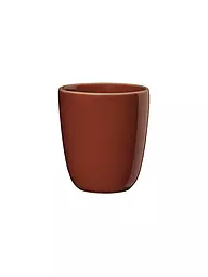 ASA SELECTION | Becher 0,25l SEMANA Lobster | rot