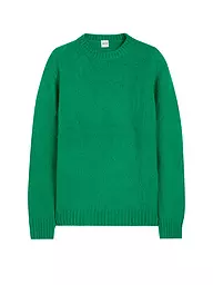 ASPESI | Pullover  | grün
