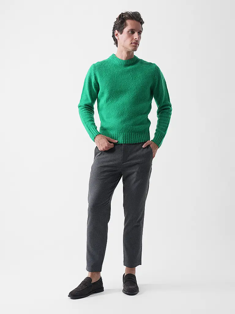 ASPESI | Pullover  | grün