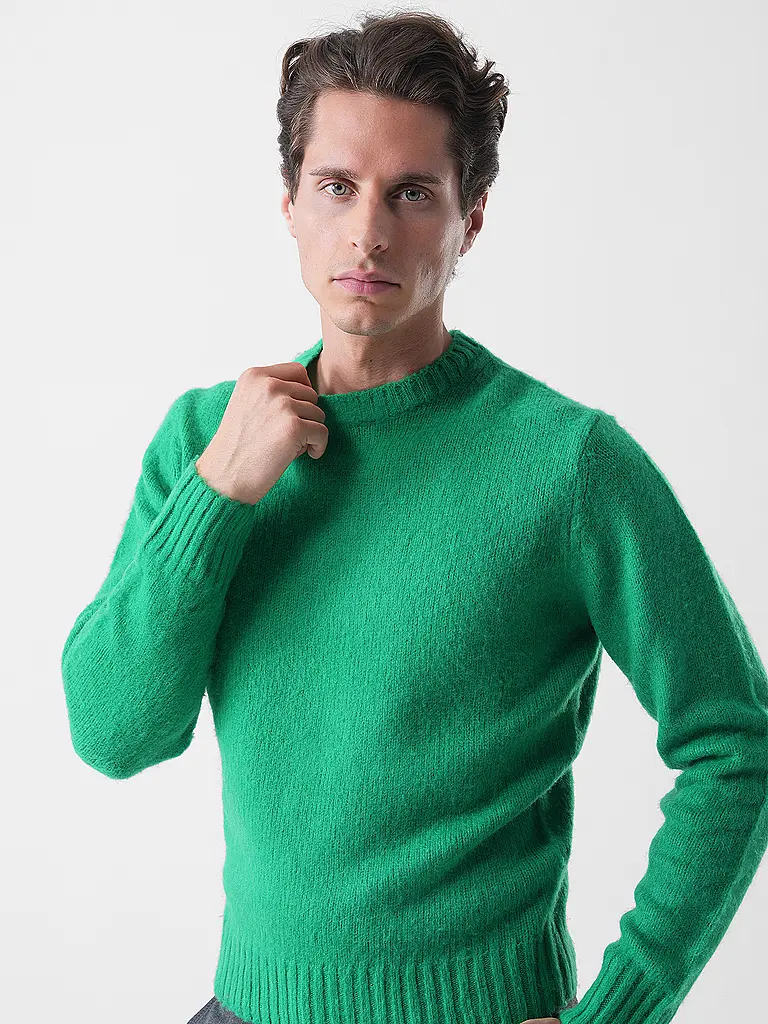 ASPESI | Pullover  | grün