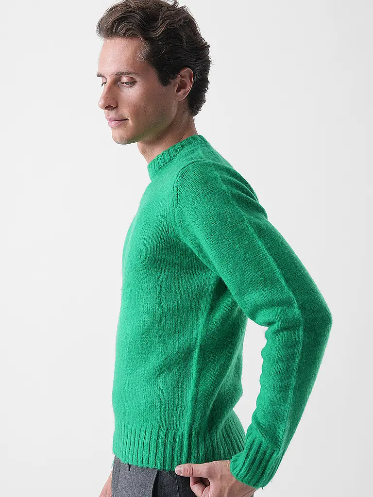 ASPESI | Pullover  | grün
