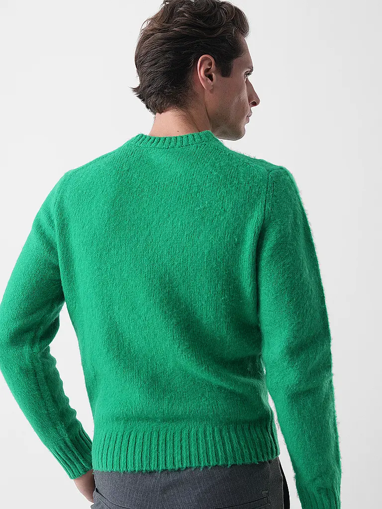 ASPESI | Pullover  | grün