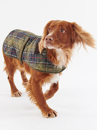 BARBOUR | Hunde Jacke Tartan