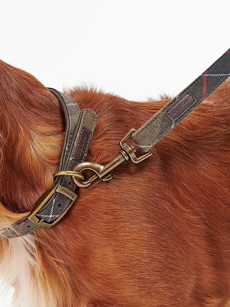 BARBOUR | Hunde Leine Tartan | olive
