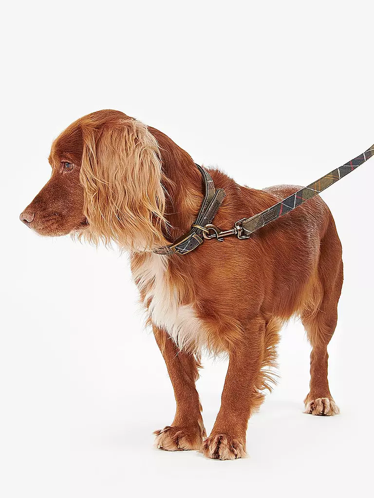 BARBOUR | Hunde Leine Tartan | olive