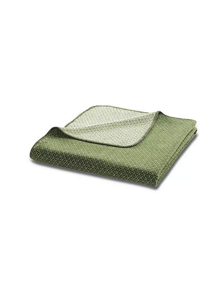 BIEDERLACK | Wohndecke - Plaid Green Line 150x200cm Tiny Green | grün